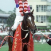 Thumbnail of related posts 062