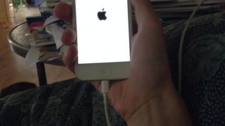 Thumbnail of post image 143