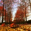 Thumbnail of related posts 065