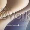 Apple @ Work: How I'm preparing my fleet for Rosetta's removal in macO