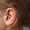 CPUのみで動作するリアルタイム多言語音声認識「早耳」、GPUもクラウドAPIも使わずメ